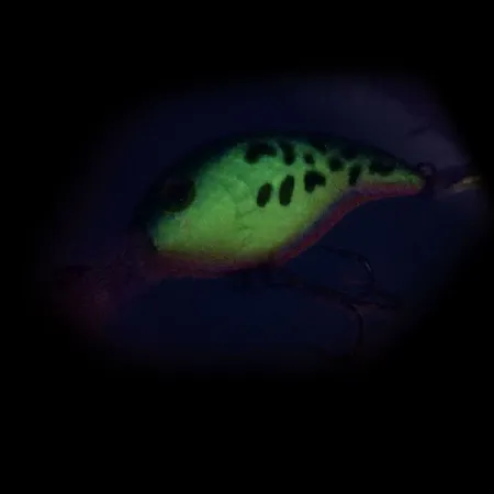 Bass Pro Shops XPS Lazer Eye Deep Diver Wobler, Fire Tiger, 12g, #10341