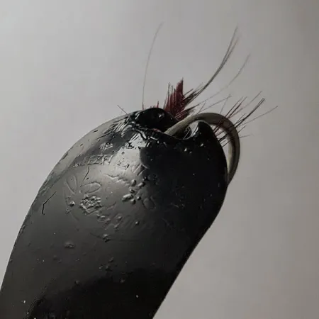 Weezel Rex Spoon, černá, 12g, Plandavka #21779