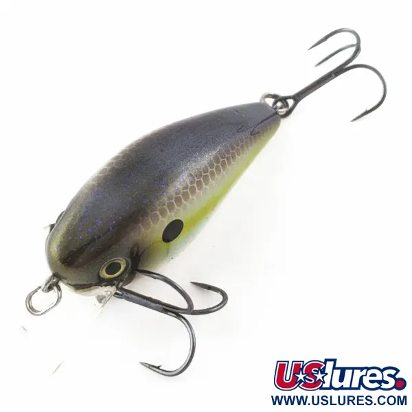 Strike King KVD 1.5 Silent, 12g, Olive Sexy Shad, square bill crankbait #23995