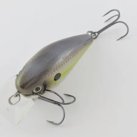 Strike King KVD 1.5 Silent, 12g, Olive Sexy Shad, square bill crankbait #23995