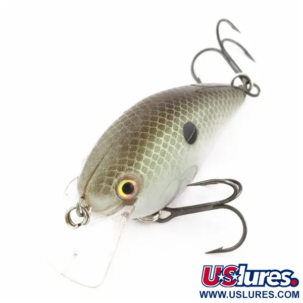 Strike King KVD 1.5 Silent, Olive Sexy Shad, 12g, square bill crankbait #24028