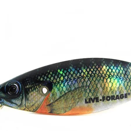 Northland Weedless Live Forage Plandavka, Okoun, 16.5g, Neuváznoucnost, #0700