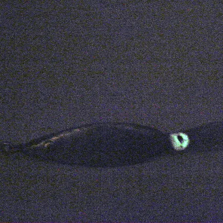 Weedless Fred Arbogast 3 Hawaiian Glow Plandavka, 16g, Bez váznutí, #3338