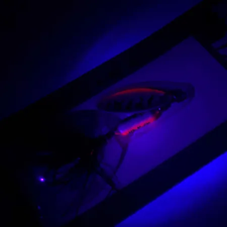 Worden’s Original Rooster Tail Třpytka, Fire Tiger, 1/16oz, #RT.208.TNMT.B3