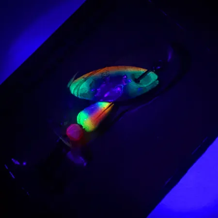 Panther Martin 2 Třpytka, Pstruh duhový, 2.5g, FishSeeUV, #4602