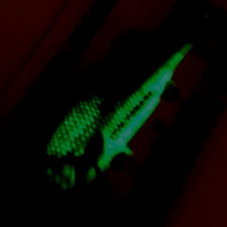 Northland Live Forage Glow Plandavka, Duhová Rybka, 7g, Mosaz, #5140