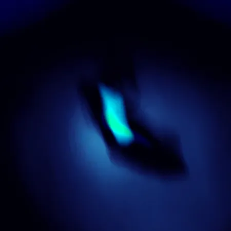 Reef Runner Cicada Cykáda, Black / Green, 1,2g, Svítící, #5241