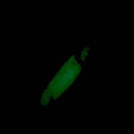 Luhr Jensen Crippled Herring Plandavka, Bílá/Zelená UV Glow, 21g, #5921