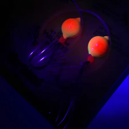 Northland Live Fishing Bait Roach Rig UV Návazec, Oranžová, UV, #5967