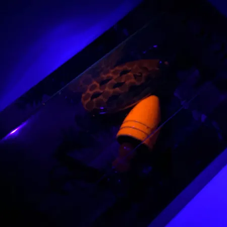 Luhr Jensen Fire Max Miracle 2 UV Třpytka, Kreveta, 7g, UV, #6044