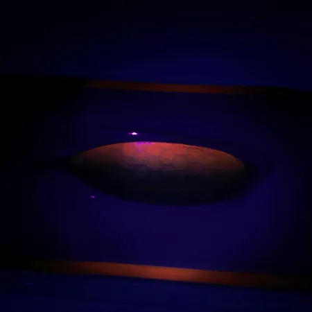 Weedless Johnson Silver Minnow Plandavka, Zelená/Oranžová/Nikl, #6193