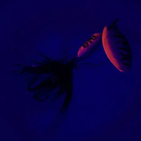 Yakima Bait Worden’s Original Rooster Tail UV Třpytka, Rainbow Perch, 2,6g, UV, #6451