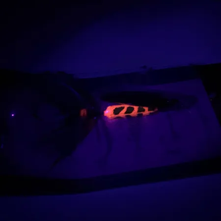 Yakima Bait Worden’s Original Rooster Tail Třpytka, Zlatá, 3,6g, #6598