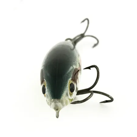 Rapala Skitter Walk Stickbait, Cipal, 12g, Zatížená Záď, #7005