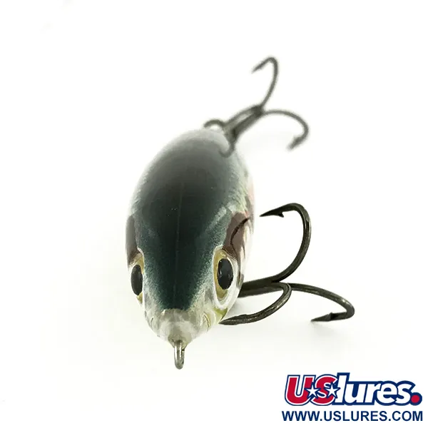 Rapala Skitter Walk Stickbait, Cipal, 12g, Zatížená Záď, #7005