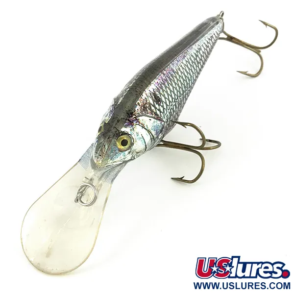 Berkley Frenzy Diver Wobler, Rainbow Silver, 12g, #7350