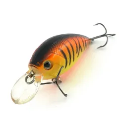 Matzuo Asai Shad UV