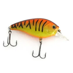 Matzuo Asai Shad