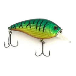 Matzuo Asai Shad