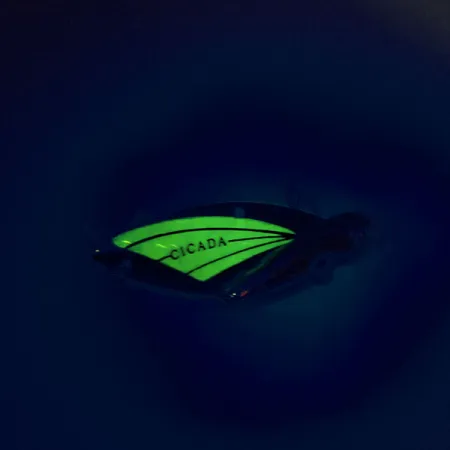 Reef Runner Cicada Blade Bait, Nikl / Zelená, 14g, Svítící, #9560